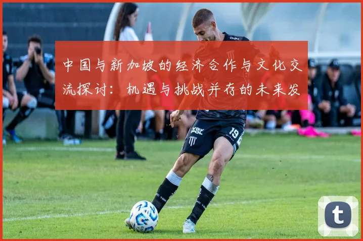 中国与新加坡的经济合作与文化交流探讨：机遇与挑战并存的未来发展之路