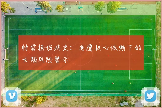 特雷杨伤病史：老鹰核心依赖下的长期风险警示