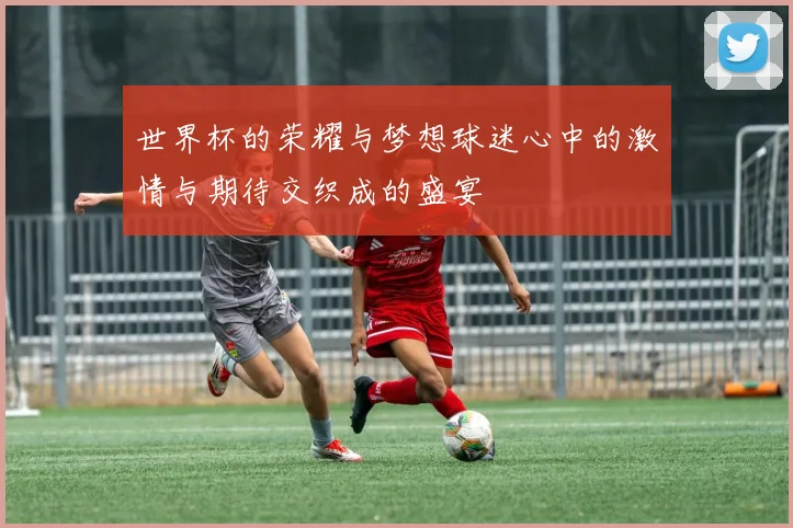 世界杯的荣耀与梦想球迷心中的激情与期待交织成的盛宴