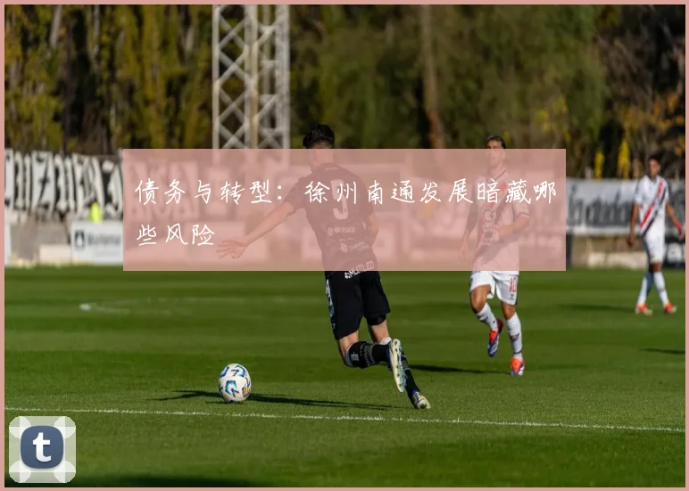 债务与转型：徐州南通发展暗藏哪些风险