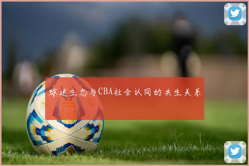 球迷生态与CBA社会认同的共生关系