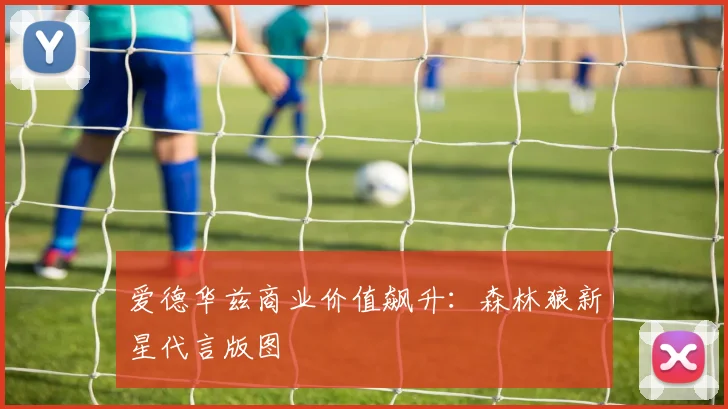 爱德华兹商业价值飙升：森林狼新星代言版图