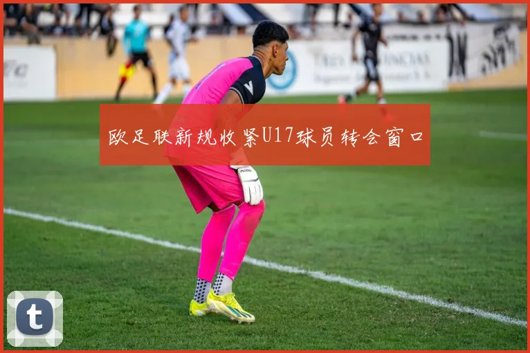 欧足联新规收紧U17球员转会窗口