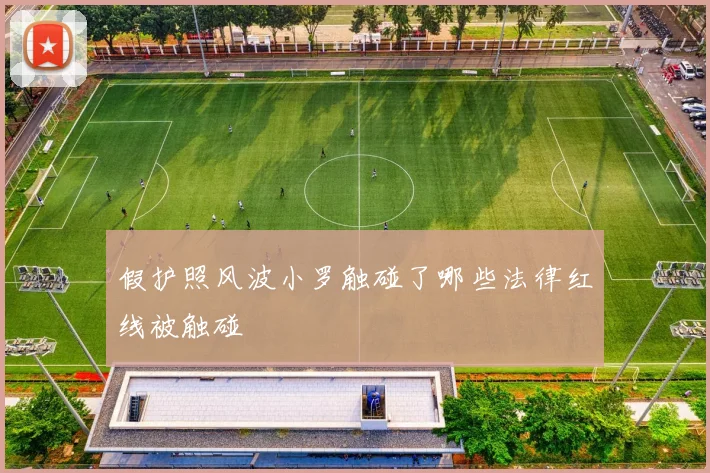 假护照风波小罗触碰了哪些法律红线被触碰