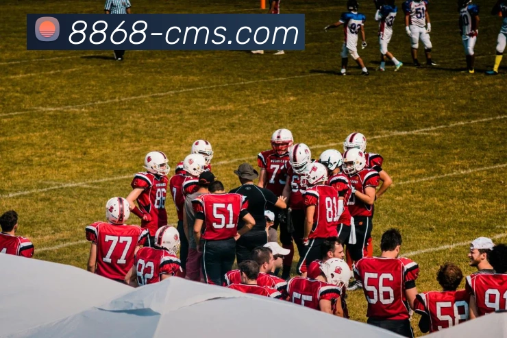 世界杯聚焦：回顾历史经典瞬间，探索未来赛场的无限可能