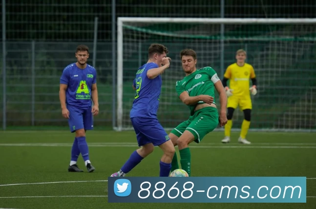 多媒体互动体验